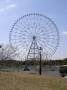 index:building:800px-ferris_wheel_at_kasai_rinkai_park.jpg