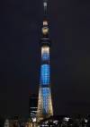 800px-tokyo_sky_tree_at_night__iki_.jpg
